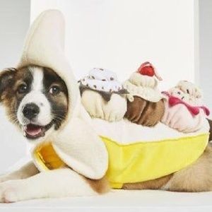 Banana Split Dog Halloween Costume
